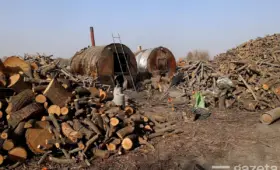 Экологи обнаружили горы древесины и пиролизные бочки для изготовления угля под Ташкентом (видео)