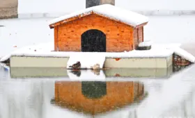 Какой будет предстоящая зима — прогноз Узгидромета