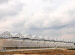 Для теплиц Ташкента и Ташкентской области разработают меры по стабильному газоснабжению