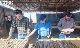 В Узбекистане будет построен вольфрамовый комплекс мощностью до 1 млн тонн руды в год