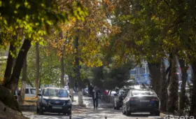 Тёплая и сухая погода сохранится в течение рабочей недели по Узбекистану