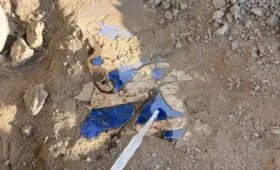 В древнем городище Канка в Ташкентской области обнаружены настенные росписи X—XI веков