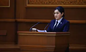 Сенат Узбекистана одобрил закон о регулировании применения искусственного интеллекта