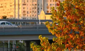 В выходные по Узбекистану будет относительно тепло