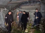 Саида Мирзиёева посетила теплицу в Кибрайском районе, которая отапливалась углём (+видео)