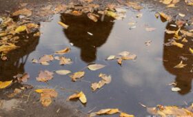 Неделя в Узбекистане будет дождливой