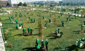 В Узбекистане будут расширены лесные массивы