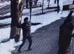 В Ташкентском зоопарке посетители бросали снежки с камнями в тигров