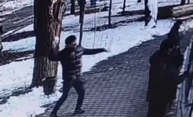 В Ташкентском зоопарке посетители бросали снежки с камнями в тигров