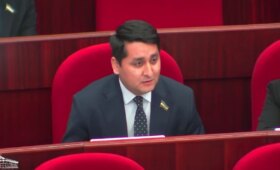 Депутат указал на риски ослабления парламентского контроля над бюджетом из-за новой нормы. Её убрали из проекта