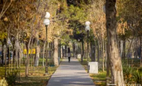 Минувшая осень была теплее нормы и очень сухой — Узгидромет