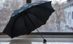 Какой будет погода в Узбекистане на Новый год? Прогноз Узгидромета