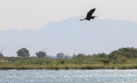 В Сырдарьинской области в следующем году начнётся строительство водохранилища Султанховуз