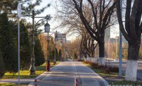 Какой будет погода в Узбекистане в декабре