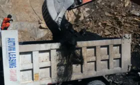 «Шаргунькумир» и Шерабадский цементный завод выставлены на продажу единым лотом