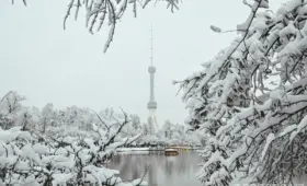 Что изменится с 1 января 2026 года в Узбекистане?