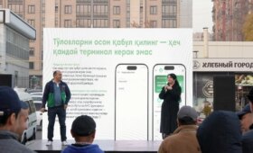 Xolis: бизнес с налогом 1%, без бухгалтера и кассы, с кешбэками и множеством удобств