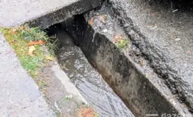 «На всех улицах Ташкента в арыках должна циркулировать вода» — президент