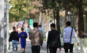 Доступ к студенческим кредитам расширят за счёт программы EduImkon, поддержанной ВБ