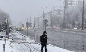 Фото: Первый снег в Ташкенте