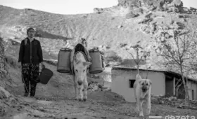 Мы нашли данные переписи населения в УзССР столетней давности. Что они говорят о стране?