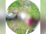 Правоохранители в Янгиюле нашли мужчину, который на видео убил собаку. Его задержали