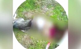 Правоохранители в Янгиюле нашли мужчину, который на видео убил собаку. Его задержали