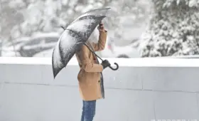 На неделе в Узбекистане местами ожидаются дожди с переходом в снег