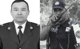 Президент наградил двух сотрудников ДПС, погибших от наезда автомобилей