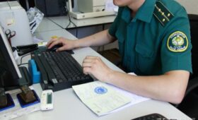 Пункты миграции и персонализации МВД превратят в «сервисные подразделения»