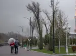 Какой будет погода в Узбекистане в феврале