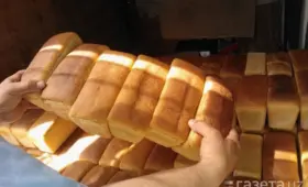 В Ташкенте ежедневно выбрасывается 3,5 тонны хлеба и продуктов питания