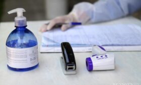 Вирус Nipah в Узбекистане не зафиксирован — СЭС