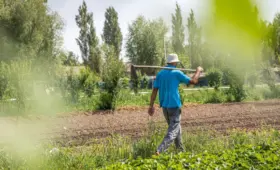 Как мониторинг климата и водных ресурсов помогает в планировании аграрной политики. Мнение эксперта