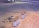 В Джизаке в результате ДТП погибла школьница. Видео