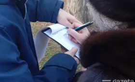 Руководители домов написали новое обращение к властям по вопросу передачи домов УК