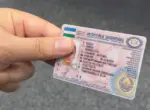 В Узбекистане выявили более 1200 поддельных водительских удостоверений в восьми регионах