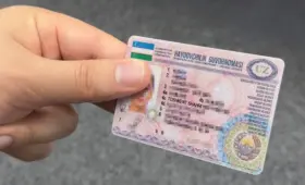 В Узбекистане выявили более 1200 поддельных водительских удостоверений в восьми регионах