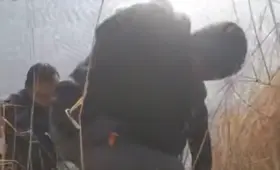 Сотрудник ОВД спас мать четырёх детей, бросившуюся в реку, в Бухарской области