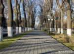 В выходные по Узбекистану ожидается потепление до +22 градусов