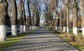 В выходные по Узбекистану ожидается потепление до +22 градусов