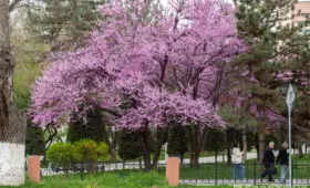 Что изменится с 1 марта в Узбекистане?