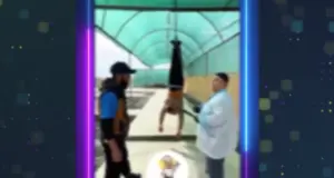 В Бухарской области человека подвесили за ноги для рекламы в соцсетях. Нарушителей оштрафовали