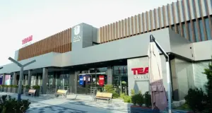 TEAM University открыл набор на 2026 год