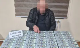 Сотрудник хокимията в Джизакской области задержан по делу о незаконной продаже 11 га земли — СГБ