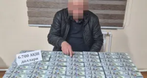 Сотрудник хокимията в Джизакской области задержан по делу о незаконной продаже 11 га земли — СГБ