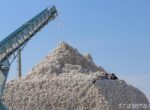 Узбекистан усилил контроль за экспортом целлюлозы и хлопковой продукции из-за санкционных рисков