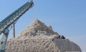 Узбекистан усилил контроль за экспортом целлюлозы и хлопковой продукции из-за санкционных рисков
