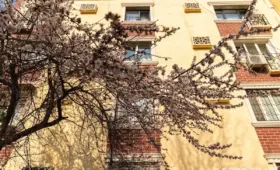 Какой будет погода в Узбекистане в марте