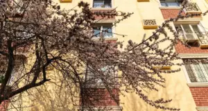 Какой будет погода в Узбекистане в марте